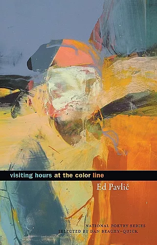 Visiting Hours at the Color Line cover
