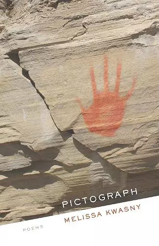 Pictograph cover