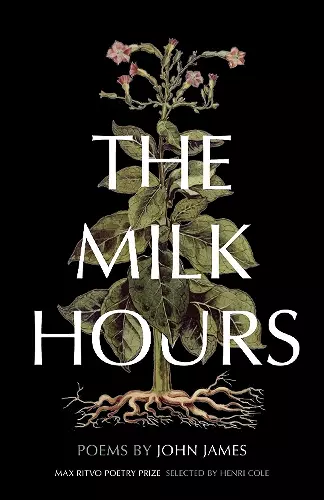 The Milk Hours cover