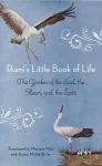 Rumi'S Little Book of Life cover