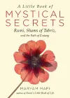 A Little Book of Mystical Secrets cover