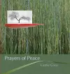 Prayers of Peace cover