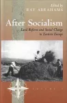 After Socialism cover