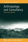 Anthropology and Consultancy cover