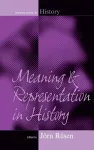 Meaning and Representation in History cover