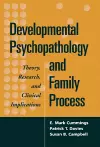 Developmental Psychopathology and Family Process cover