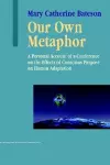 Our Own Metaphor cover