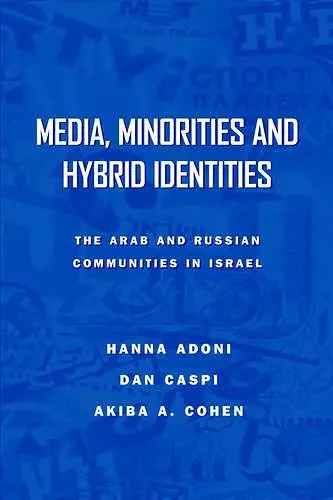 Media, Minorities and Hybrid Identities cover