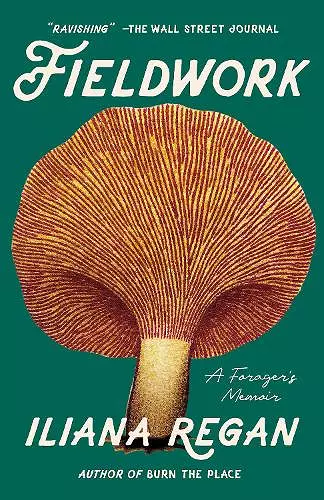 Fieldwork cover