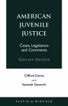 American Juvenile Justice cover