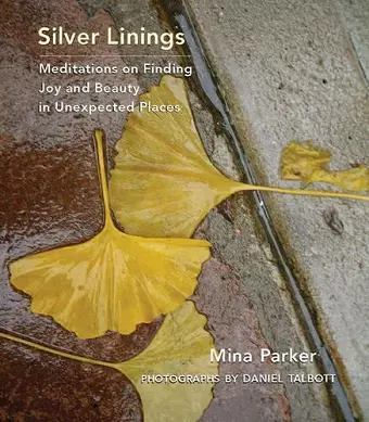 Silver Linings cover