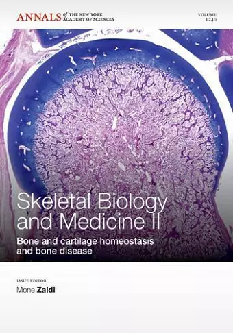 Skeletal Biology and Medicine II cover