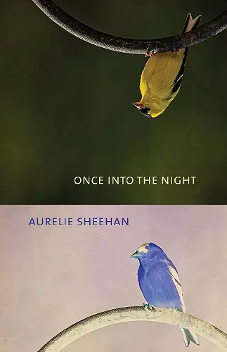 Once into the Night cover