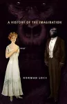 A History of the Imagination cover