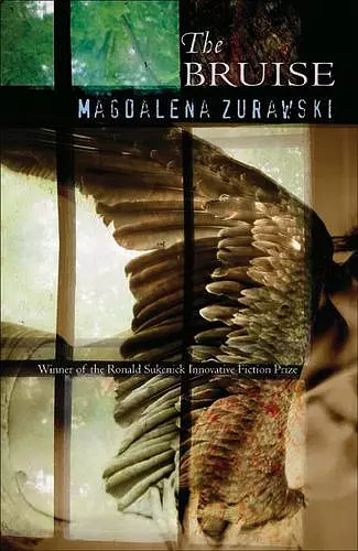 The Bruise cover