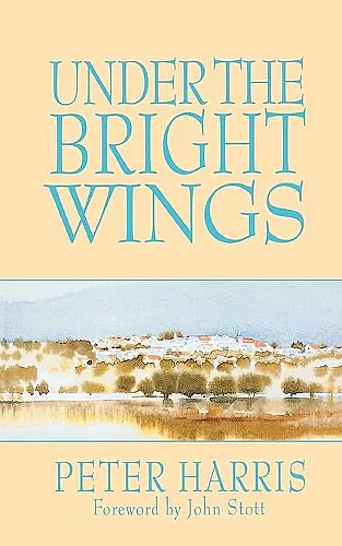 Under the Bright Wings cover