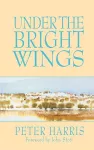 Under the Bright Wings cover