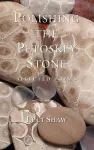 Polishing the Petoskey Stone cover