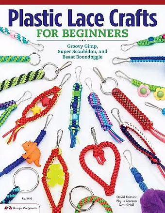 Plastic Lace Crafts for Beginners cover