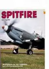 Spitfire: RAF Fighter cover