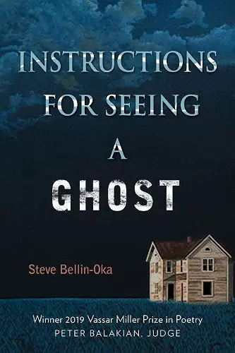 Instructions for Seeing a Ghost cover