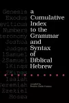 A Cumulative Index to the Grammar and Syntax of Biblical Hebrew cover