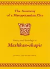 The Anatomy of a Mesopotamian City cover