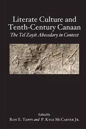 Literate Culture and Tenth-Century Canaan cover