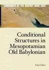 Conditional Structures in Mesopotamian Old Babylonian cover