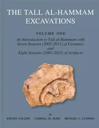 The Tall al-Hammam Excavations, Volume 1 cover