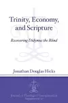 Trinity, Economy, and Scripture cover