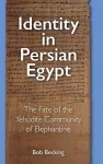 Identity in Persian Egypt cover