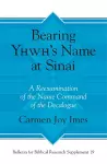 Bearing Yhwh’s Name at Sinai cover