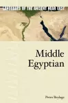 Middle Egyptian cover