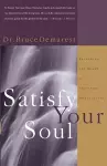 Satisfy Your Soul cover