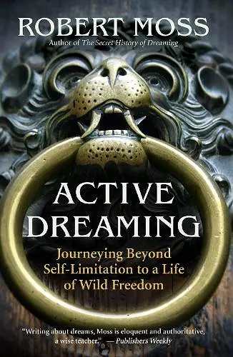 Active Dreaming cover