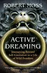 Active Dreaming cover