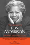 The Aesthetics of Toni Morrison cover