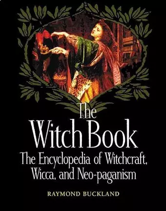 The Witch Book cover