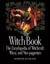 The Witch Book cover