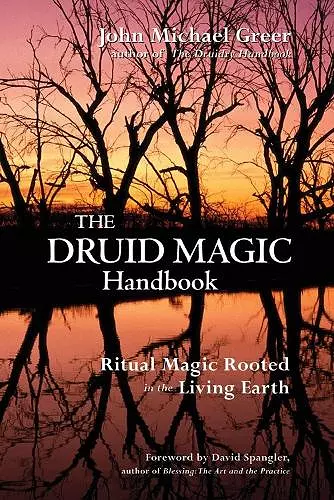 Druid Magic Handbook cover