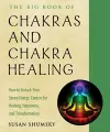 The Big Book of Chakras and Chakra Healing cover