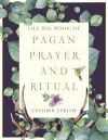 The Big Book of Pagan Prayer and Ritual cover