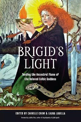 Brigid'S Light cover