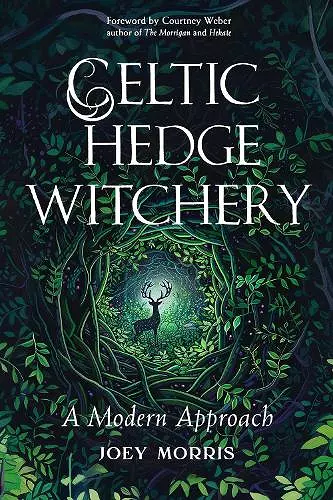 Celtic Hedge Witchery—A Modern Approach cover