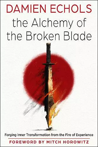 The Alchemy of the Broken Blade cover