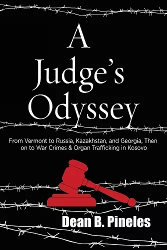 A Judge's Odyssey cover