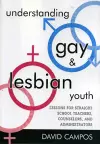 Understanding Gay and Lesbian Youth cover