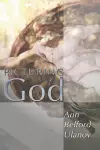 Picturing God cover