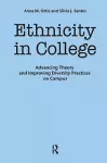 Ethnicity in College cover